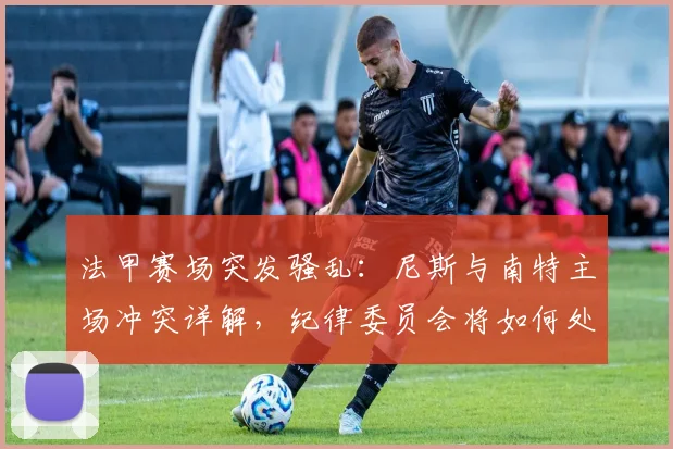 法甲赛场突发骚乱：尼斯与南特主场冲突详解，纪律委员会将如何处罚？